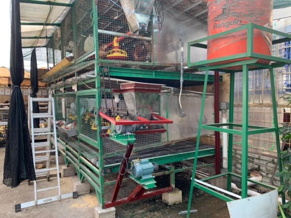 Kandang Ayam Petelur Otomatis 252 (1)